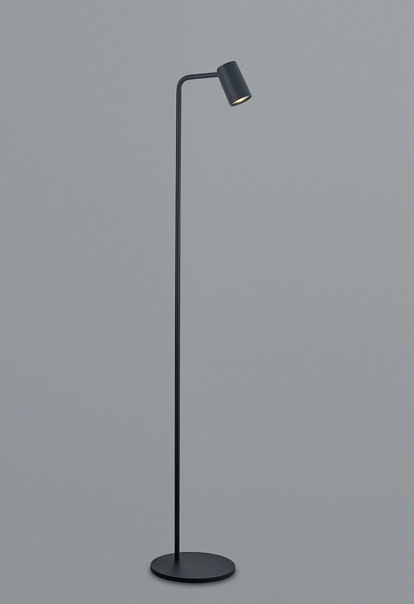 Sal Floor Lamps Mantra Fusion Task Lamps